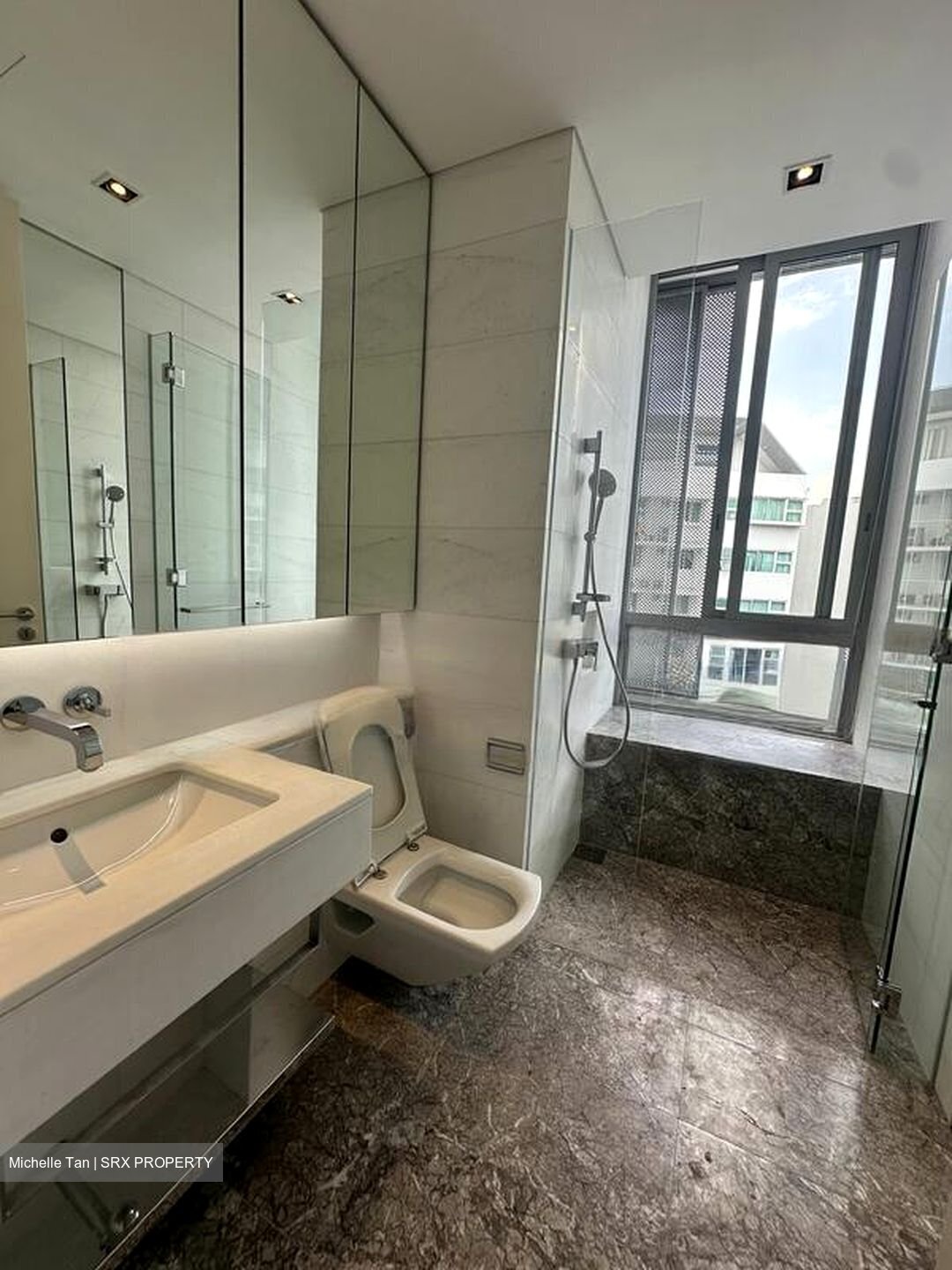 The Oliv (D10), Apartment #446100511